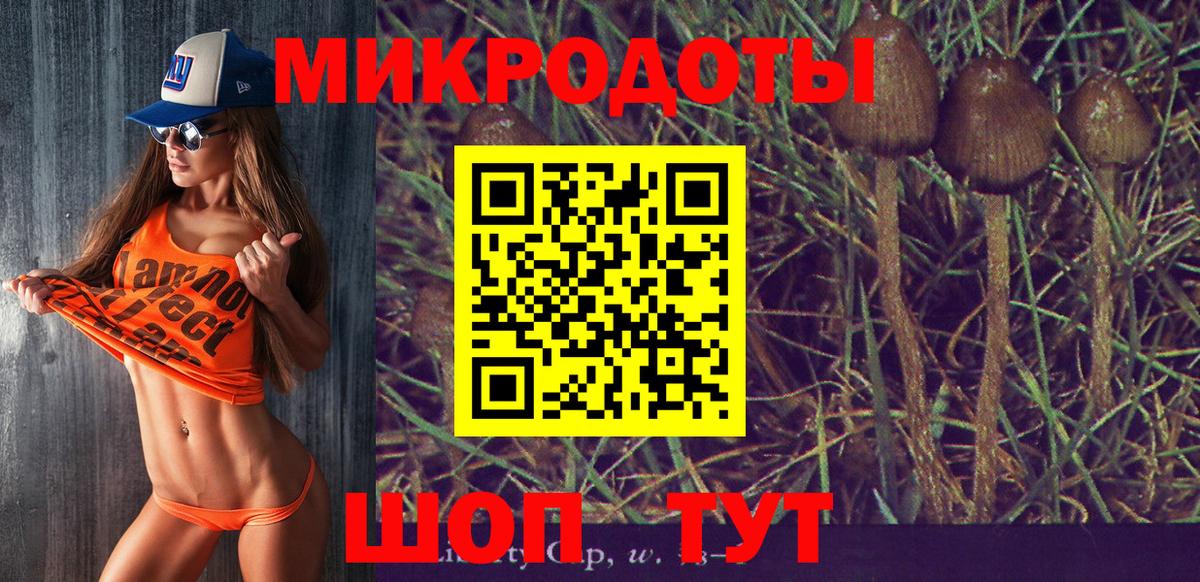 Галлюциногенные грибы Psilocybe  Псилоцибиновые грибы Psilocybe  Егорьевск  Вход с VPN 