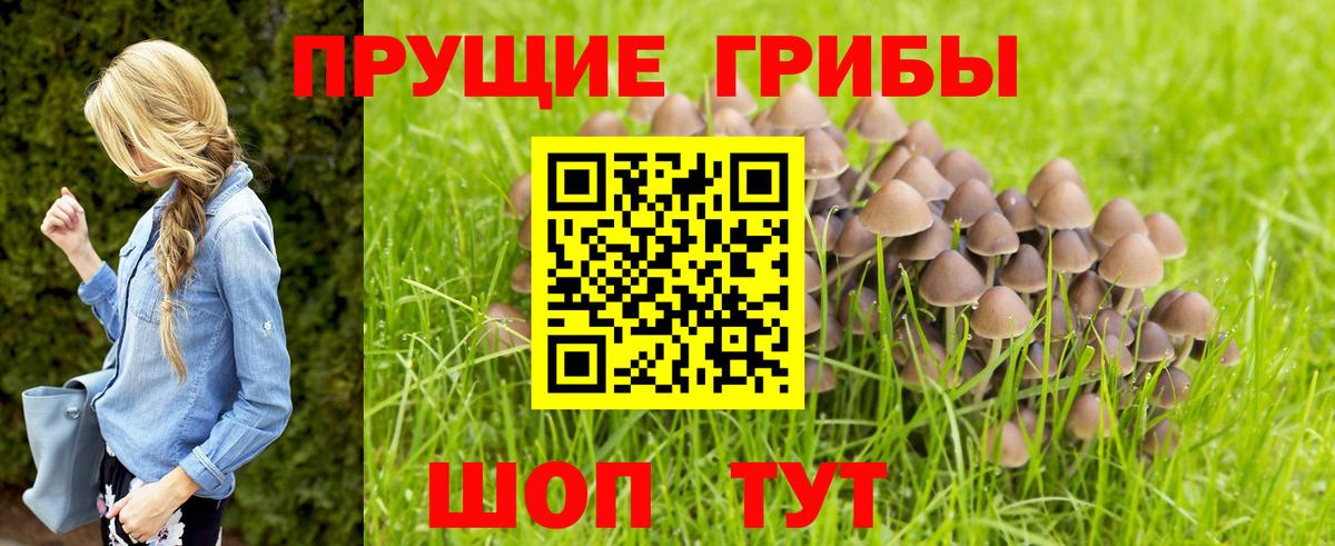 Псилоцибиновые грибы GOLDEN TEACHER Егорьевск